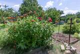 824 Dry Creek Rd - Photo 76