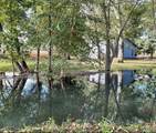 1349 Old Shelbyville Hwy - Photo 2