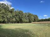 1349 Old Shelbyville Hwy - Photo 10