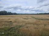 0 Jacksboro Trail - Photo 1
