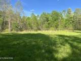 658 Peavine Firetower Rd - Photo 1