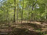 658 Peavine Firetower Rd - Photo 2