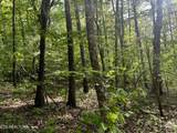 658 Peavine Firetower Rd - Photo 4