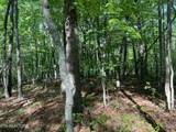 658 Peavine Firetower Rd - Photo 5