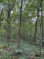 1137 Poplar Grove Rd - Photo 3