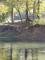 396 Buckeye Rd - Photo 29