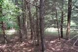 36 Stone Creek Trail - Photo 7