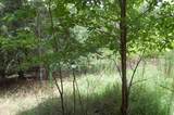 36 Stone Creek Trail - Photo 9