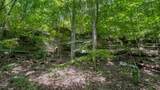0 Buckfork Road - Photo 11