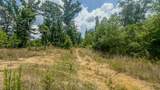 0 Buckfork Road - Photo 17