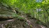 0 Buckfork Road - Photo 19