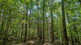 0 Buckfork Road - Photo 21