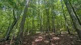 0 Buckfork Road - Photo 22