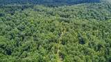 0 Buckfork Road - Photo 4