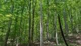 0 Buckfork Road - Photo 7