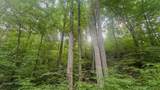 0 Buckfork Road - Photo 8