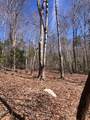 0 Sullivan Mill Lane - Photo 10