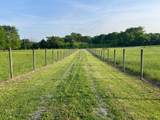 12297 Elrod Mcelroy Rd - Photo 8