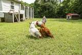 815 Sneed Rd - Photo 29