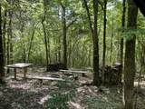 4770 Delina Rd - Photo 72