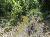 2210 Haynes Rd - Photo 11