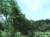 124 Hayes Fork Creek Rd - Photo 17