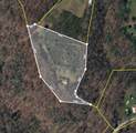 313 Loveless Ln - Photo 4