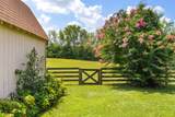 7367 Crow Cut Rd - Photo 69
