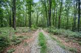 3950 Parchcorn Hollow Rd - Photo 38