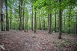 3950 Parchcorn Hollow Rd - Photo 45