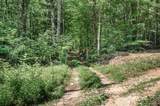 3950 Parchcorn Hollow Rd - Photo 52