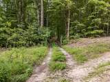 3950 Parchcorn Hollow Rd - Photo 54