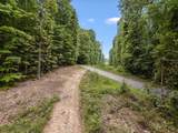 3950 Parchcorn Hollow Rd - Photo 55