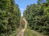3950 Parchcorn Hollow Rd - Photo 57