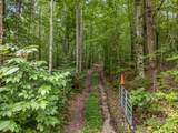 3950 Parchcorn Hollow Rd - Photo 59