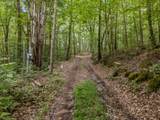 3950 Parchcorn Hollow Rd - Photo 62