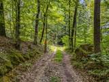 3950 Parchcorn Hollow Rd - Photo 63