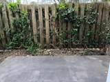 3245 Lincoya Creek Drive - Photo 12