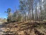 0 N Laurel Loop - Photo 3