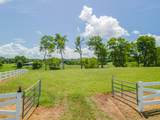 1821 Gina Lynn Dr - Photo 37