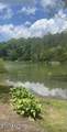 936 Pleasure Rd - Photo 7