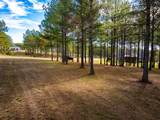 0 Deer Ridge Point - Photo 15