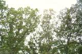 0 Retreat Dr - Photo 11