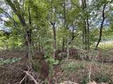 0 Highway 7 Lot 25 - Photo 4