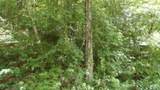 4364 Livingston Hwy - Photo 11