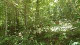 4364 Livingston Hwy - Photo 12