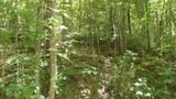 4364 Livingston Hwy - Photo 18