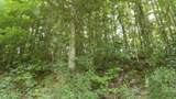 4364 Livingston Hwy - Photo 4