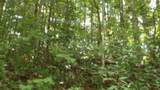 4364 Livingston Hwy - Photo 5