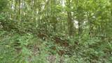 4364 Livingston Hwy - Photo 8